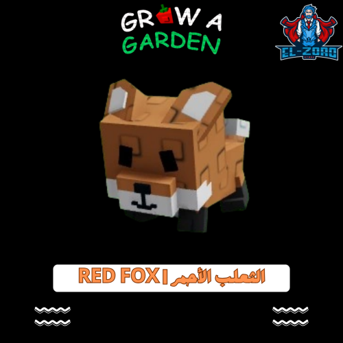 الثعلب الأحمر | Red Fox