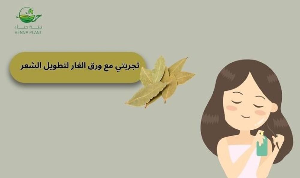 تجربتي مع ورق الغار لتطويل الشعر: فوائد رائعة ونتائج فعالة