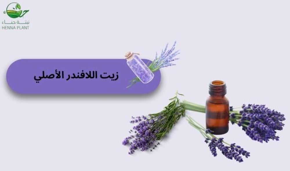 زيت اللافندر الأصلي | وأهم فوائده الصحية والنفسية
