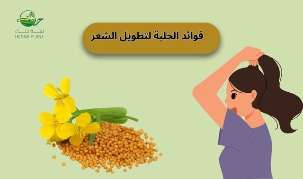 فوائد الحلبة لتطويل الشعر: وصفات طبيعية سهلة لنمو سريع