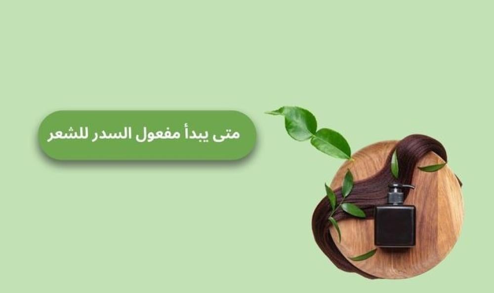 متى يبدأ مفعول السدر للشعر | وما هي فوائده لصحة فروة الرأس