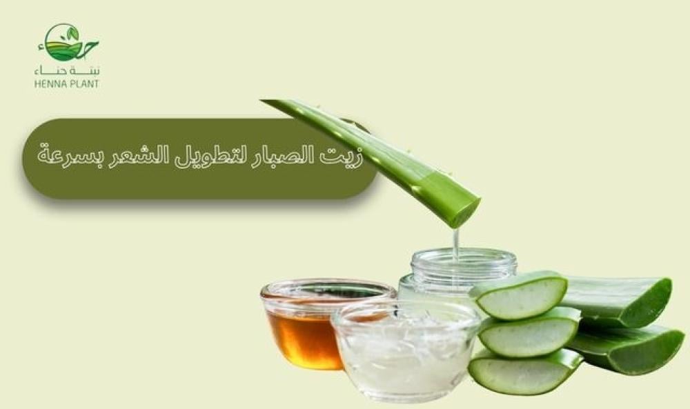 زيت الصبار لتطويل الشعر والبشرة: فوائد متعددة لشعر أطول وبشرة أكثر إشراقاً