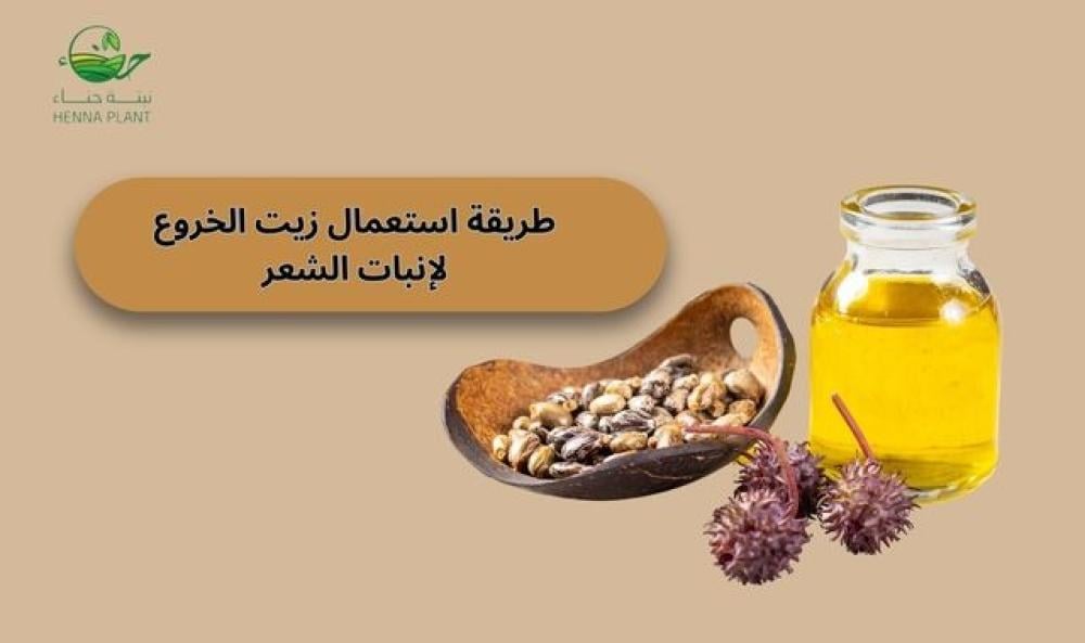 طريقة استخدام زيت الخروع لإنبات الشعر وترطيب البشرة بسرعة وفاعلية
