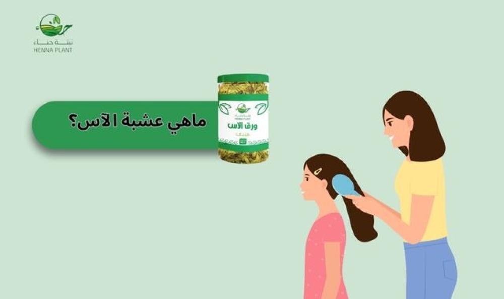 ماهي عشبة الآس وما دورها في تقوية الشعر وتعزيز نموه؟