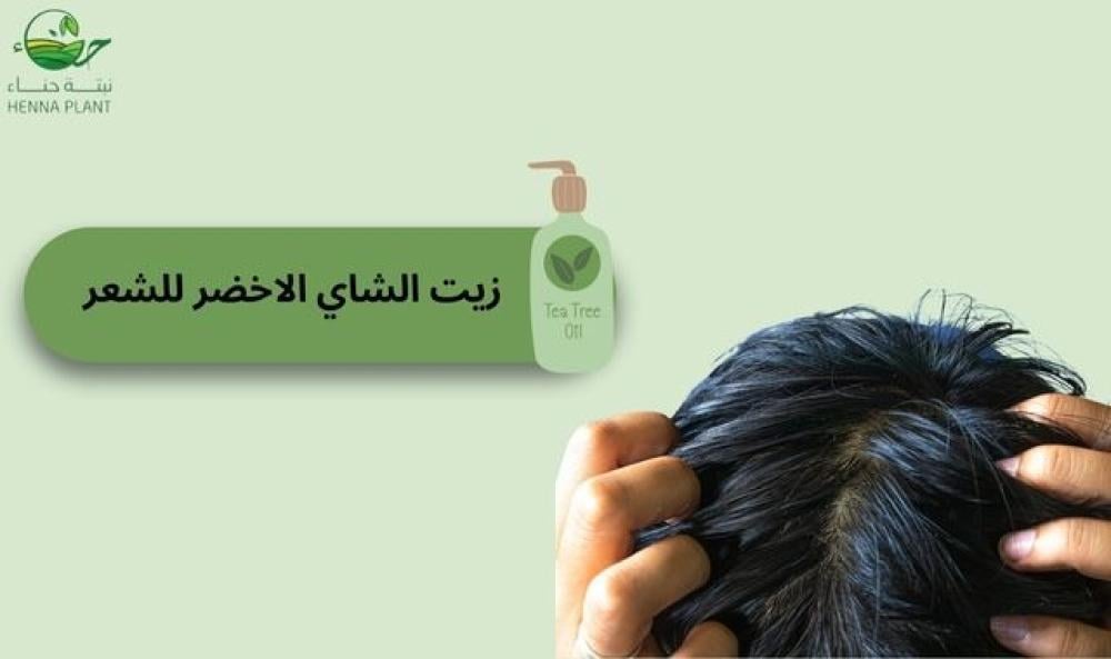 فوائد زيت الشاي الأخضر للشعر الدهني: طريقة فعّالة لتنظيف الفروة بعمق