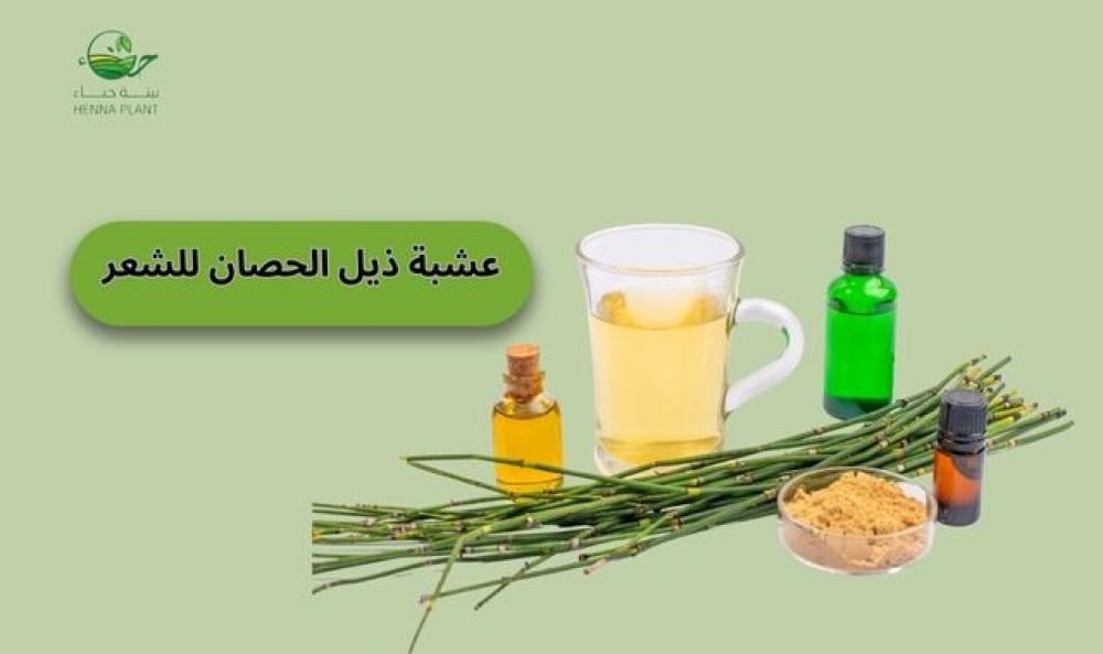 تجربتي مع عشبة ذيل الحصان للشعر: الحل الطبيعي لتقوية الشعر وزيادة كثافته