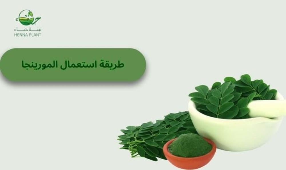 طريقة استعمال المورينجا: وأهم فوائدها الصحية
