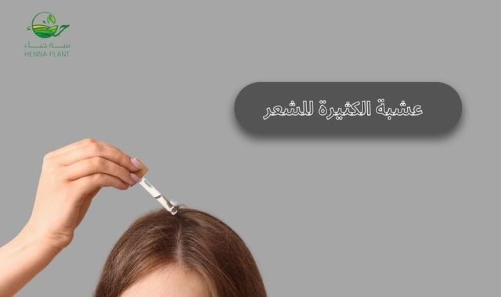 زيت الكثيراء للشعر: كل ما تحتاجين معرفته عن فوائده واستخدامه