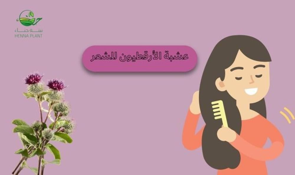 عشبة الأرقطيون للشعر: سر الترطيب والتغذية الذي تحتاجينه!