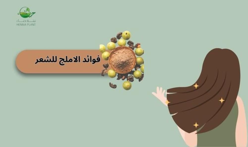 فوائد الأملج للشعر: سر تعزيز نمو الشعر والحفاظ على قوته
