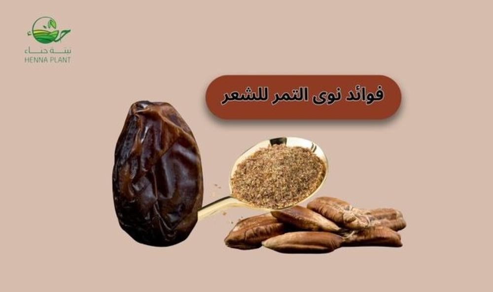 فوائد نوى التمر للشعر: الطريقة الطبيعية التي تغذي الشعر من الجذور