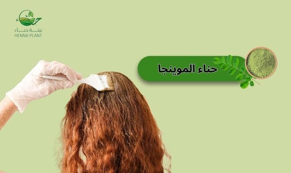 لماذا تعد حناء المورينجا الخيار الأفضل للعناية بالشعر؟