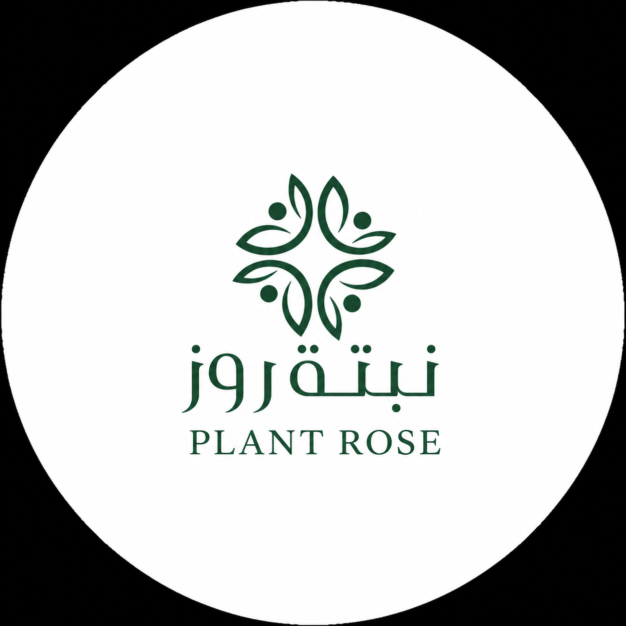 نبتة روز