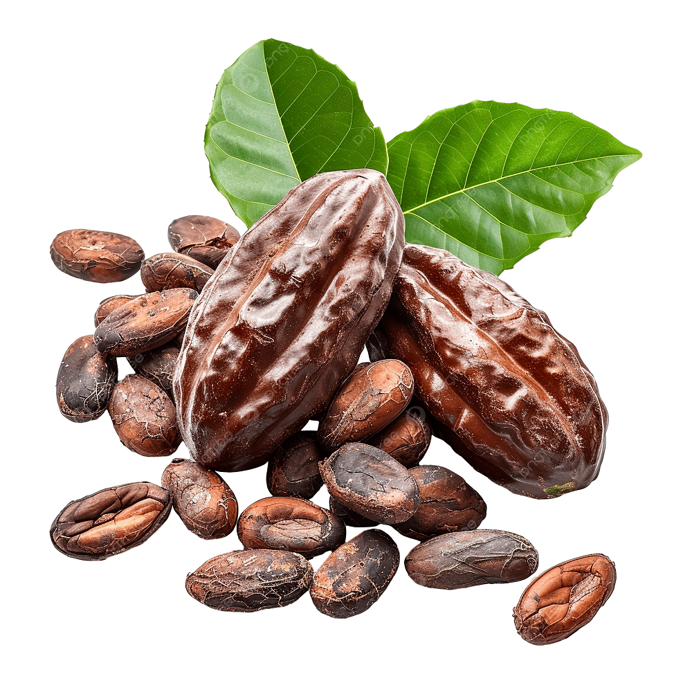 متى تم اكتشاف الشوكولاتة؟ نظرة على أصولها القديمة