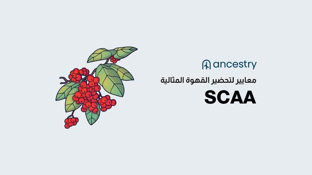 عمليات ما بعد الحصاد في القهوة المختصة وفق SCAA