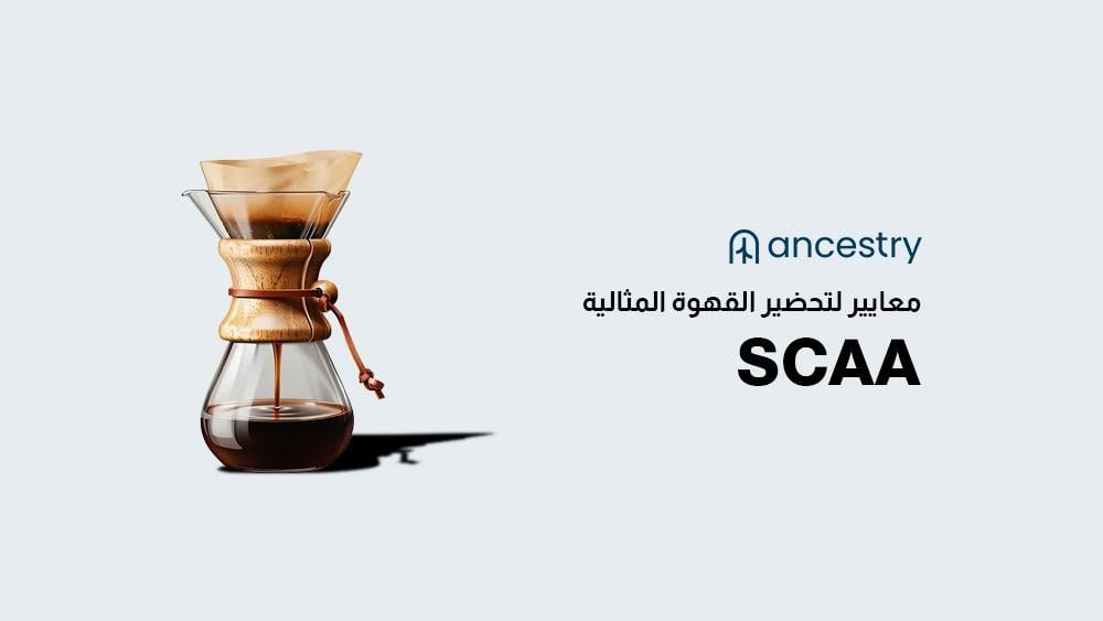 معايير SCAA لتحضير القهوة المثالية