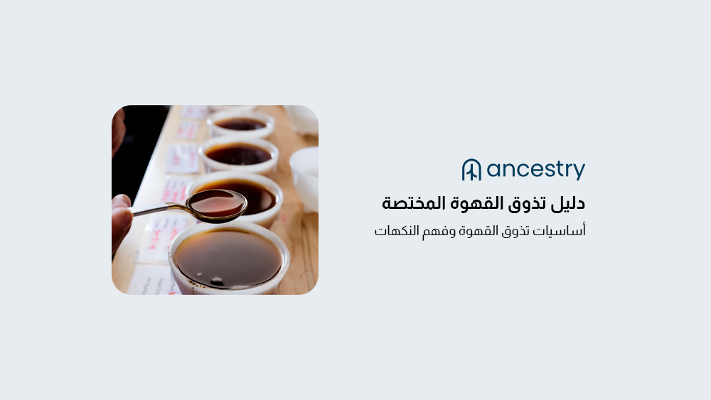 دليل أنسيستري لتذوق القهوة المختصة