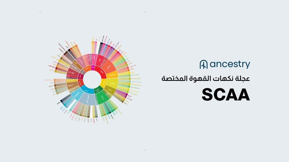 عجلة نكهات القهوة المختصة
