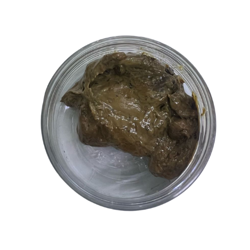 حلتيت