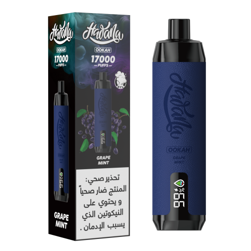 HAWANA OOKAH Grape Mint 17000 Puffs Disposable