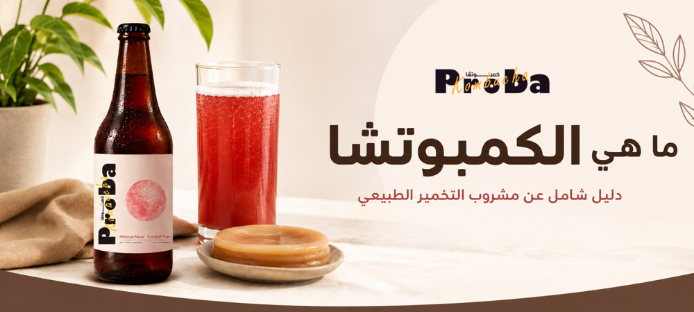 ما هي الكمبوتشا