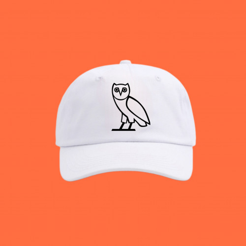Drake logo cap