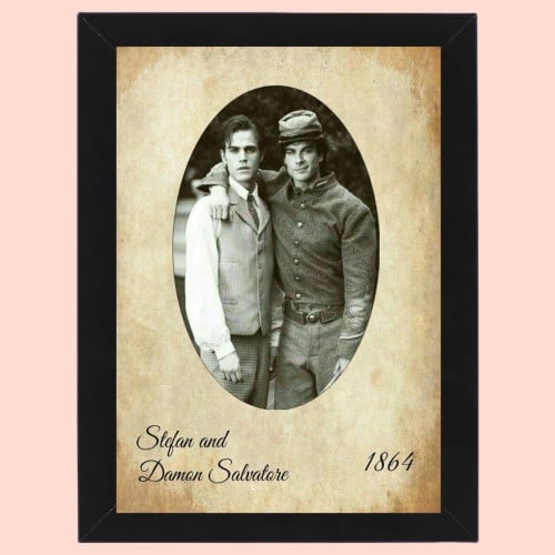 Stephan and Damon salvatore the vampire diaries 15...