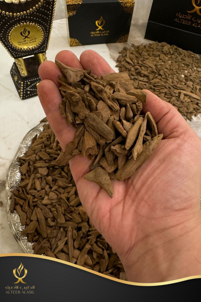 عود مروكي ميني و دقة -الطيب الاصيل