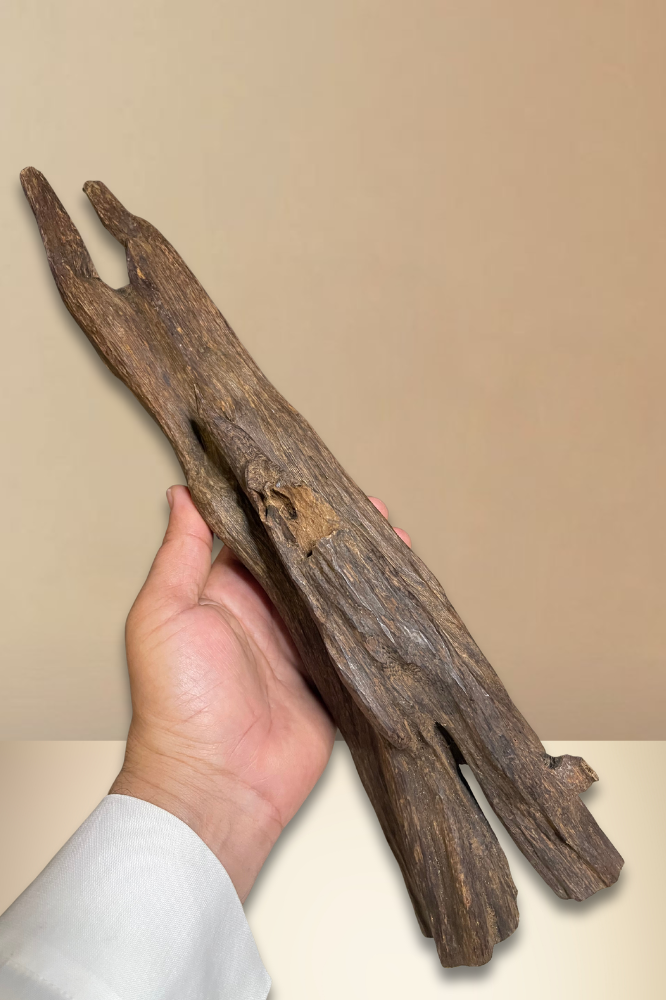 قطعة عود هندي تربل -الطيب الاصيل