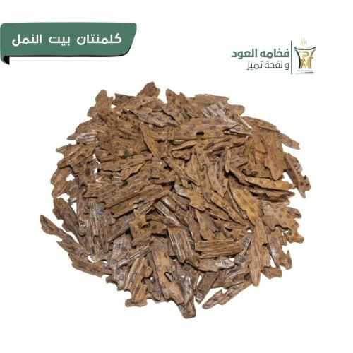 كلمنتان بيت النمل