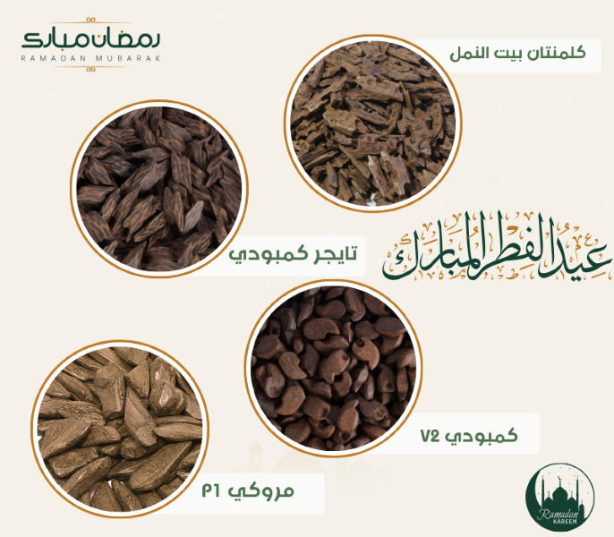 تخفيضات