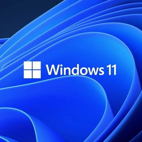 ويندوز 11 برو أصلي