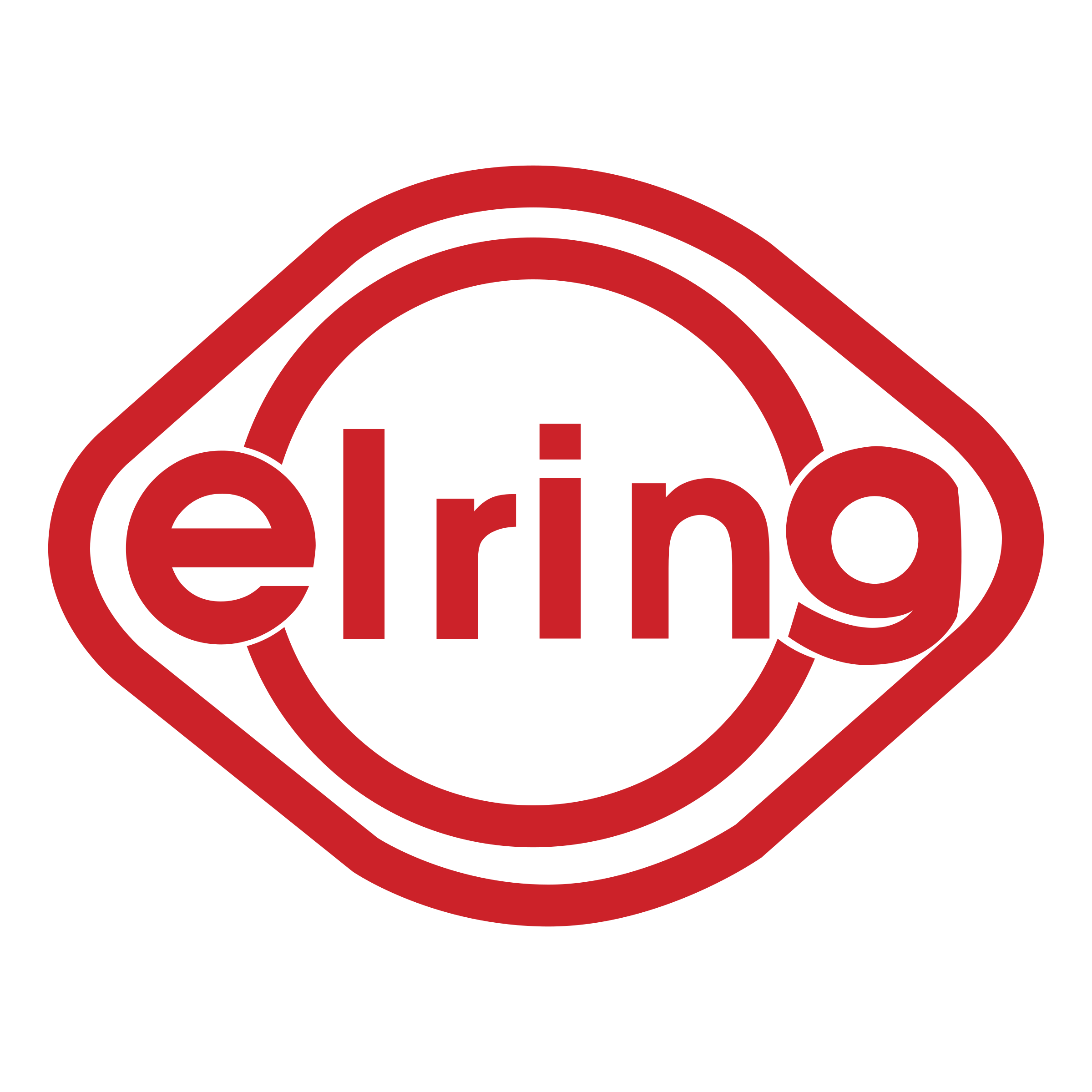 elring