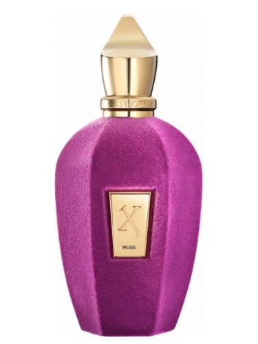 عطر موس XERJOFF | MUSE زرجوف