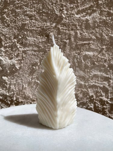 شمعة الريشه