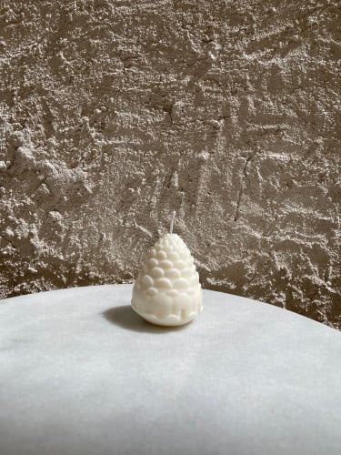 شمعه الصنوبر.