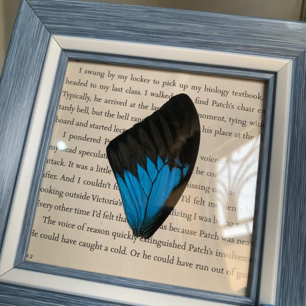 Blue wing لوحة