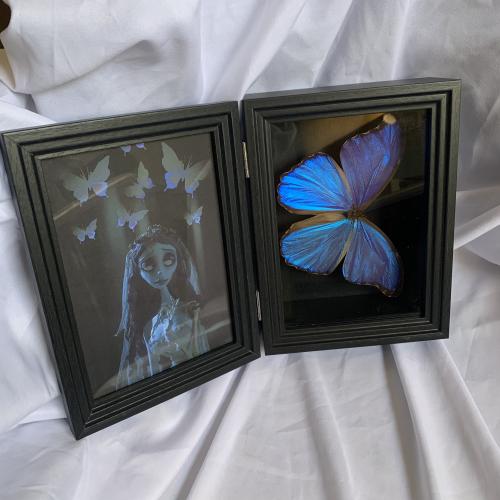 morpho