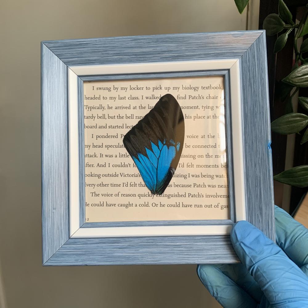Blue wing لوحة