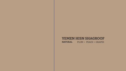 YEMEN HISN SHAGROOF BEAN