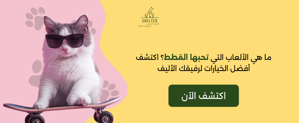 ما هي الألعاب التي تحبها القطط؟ اكتشف أفضل الخيارات لرفيقك الأليف