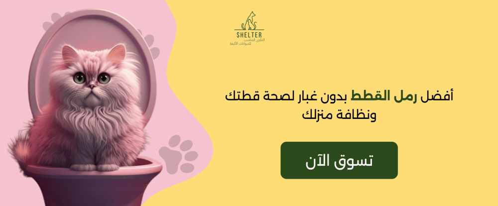 أفضل رمل القطط بدون غبار| لصحة قطتك ونظافة منزلك