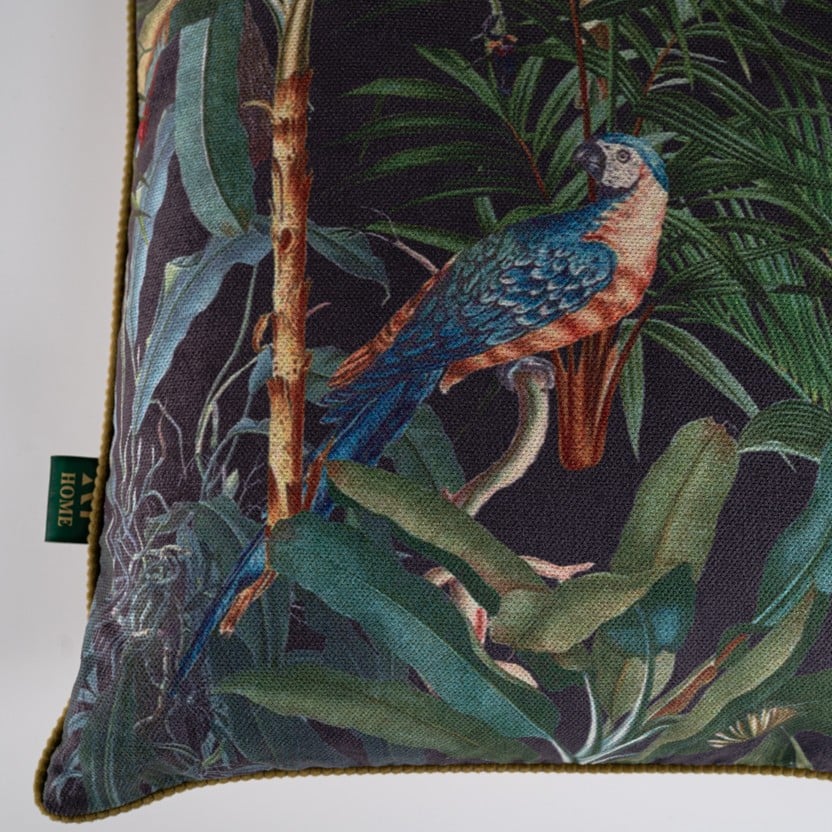 Parrot Rio 2-(50*50cm)