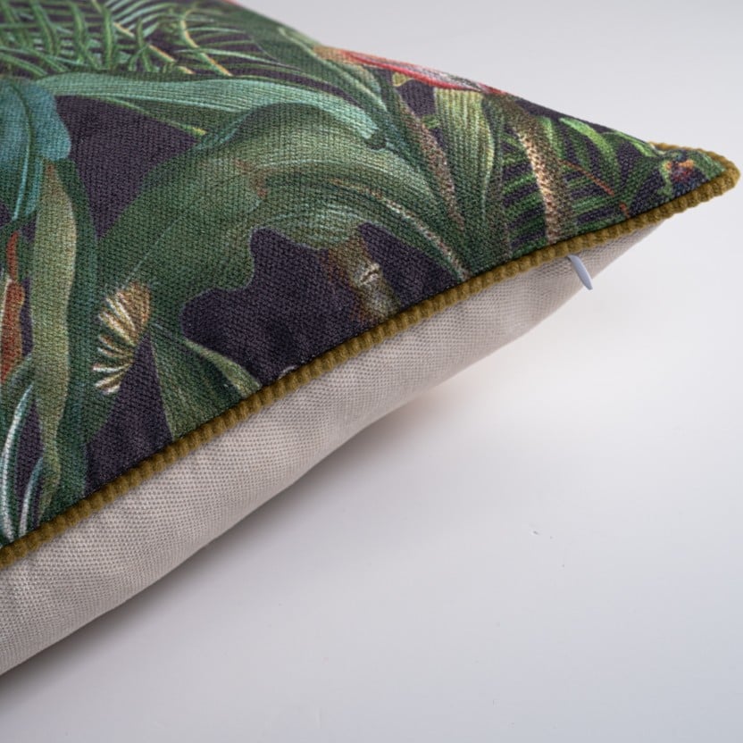 Parrot Rio 2-(50*50cm)