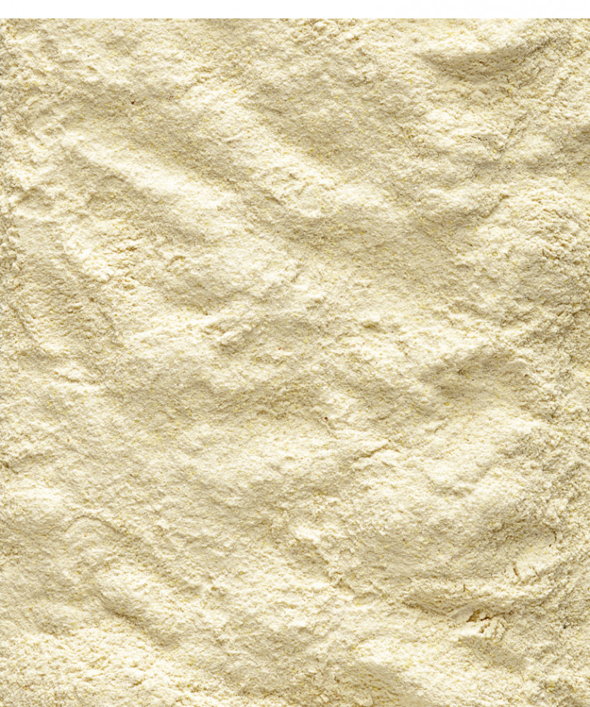 Versel-Laga NutriBird LORI A18 800 gm