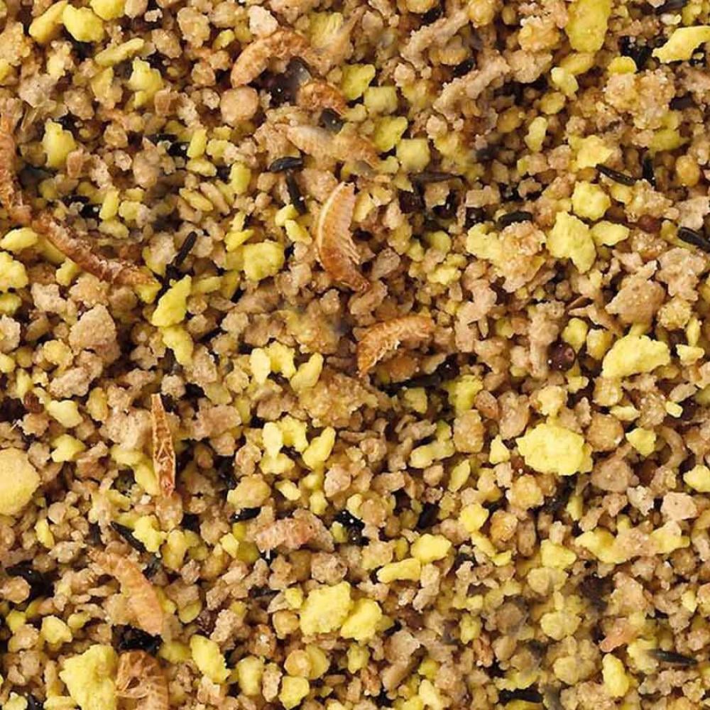 ديلي ناتشر إكسلنت طعام باتيه البيض للبادجي والببغاوات الصغيرة والكبيرة