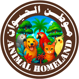 store avatar