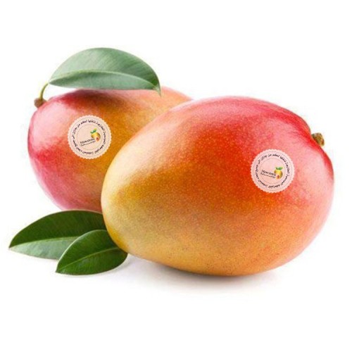 مانجو سنسيشن Mango Sansation 3 kg