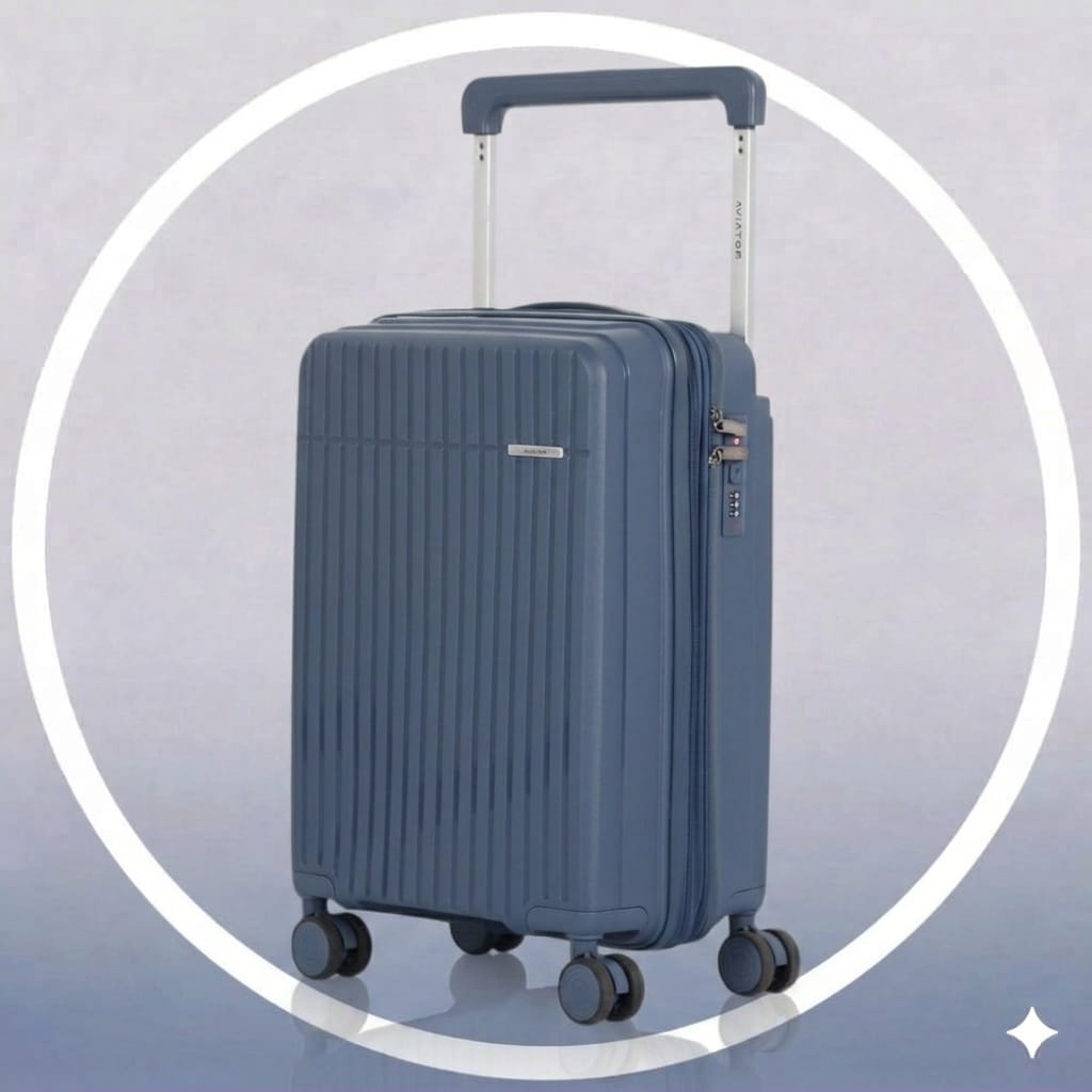 Single Luggage