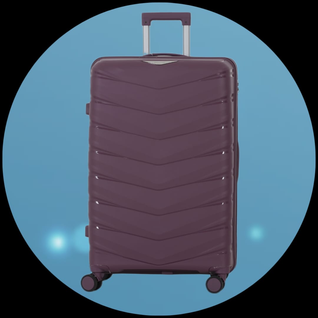 حقائب سفر مفردة